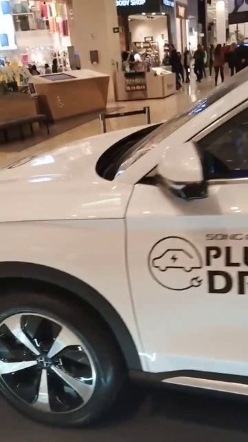 BYD Dolphin Brazil's 🏆best-selling Electric Car 🇧🇷🏁🇨🇳#audi #mercedes #bmw #cherry #eletriccars #suv