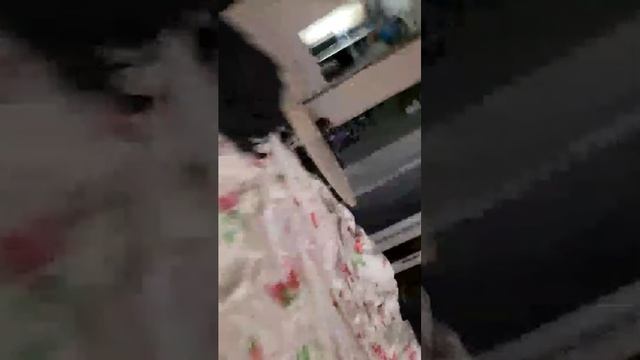 делаю уроки смотреть онлайн