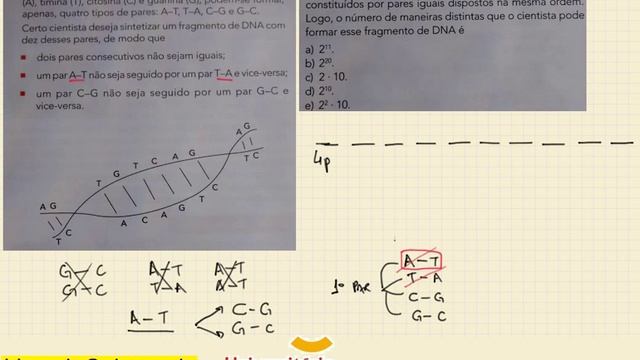 Análise Combinat PFC sequência de pares DNA смотреть онлайн