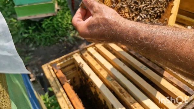 бесполезная работа на пасеке смотреть онлайн