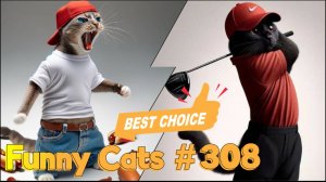 Смешные коты #308