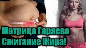 Мощная Матрица Гаряева для Сжигания Жира и Стройной Фигуры
