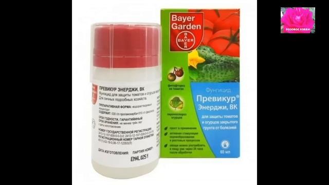 РОЗЫ. ОТВЕТЫ НА ВОПРОСЫ. НАЧИНАЮЩИМ. смотреть онлайн