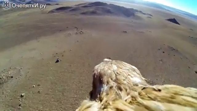 Орлиный полёт от первого лица. смотреть онлайн