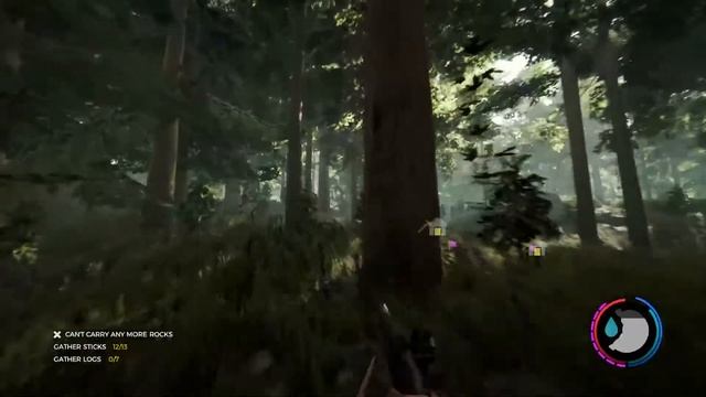 Blackhawkassassi's Live PS4 Broadcast Sorry no Mic ( The Forest )On the grind to 2K.... смотреть онлайн