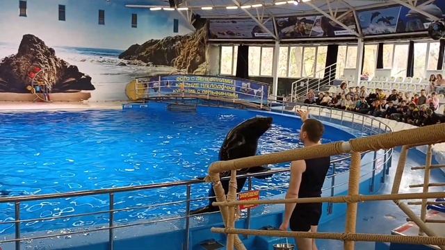 Дельфинарий смотреть онлайн