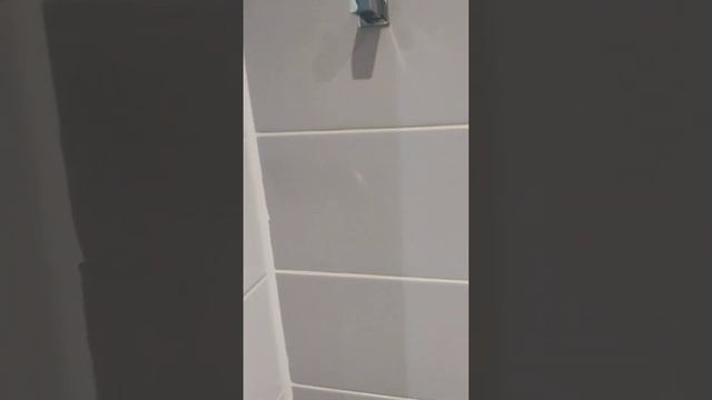 Щучинск. Заселение. Обзор номера смотреть онлайн