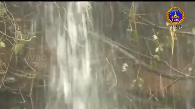 వేదపారాయణం || Vedaparayanam || Tirumala || 22-09-2022 || SVBC TTD
