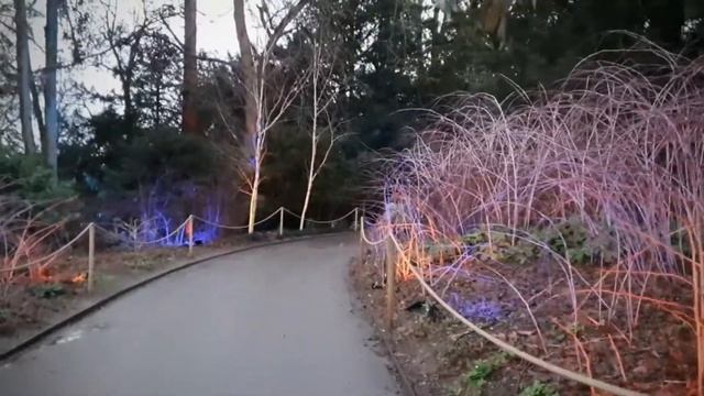 Waddesdon Manor Winter Light displays смотреть онлайн