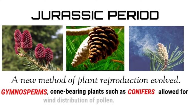 Dinosaur : The Jurassic Period | Part 2 Of 3 | Talk To Me About Dinosaur | TTM |