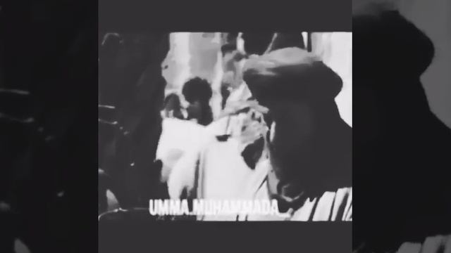 Сериал Умар ибн Аль Хаттаб про жену смотреть онлайн