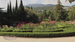 г. Ялта Никитский ботанический сад  .