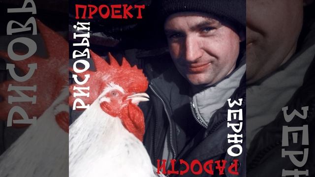 4. Рисовый Проект - Юра Музыкант смотреть онлайн