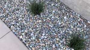 Дорожки и клумбы с применением гальки