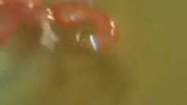 Не удачные кадры хлоу Кити 1 часть смотреть онлайн