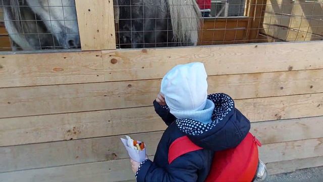 Просто бомбическая ракета SUPERCUTE от которой все в восторге! смотреть онлайн