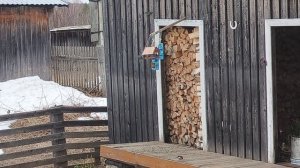 Автолавка,убираем дрова с канавы ,вкусный салат на ужин .