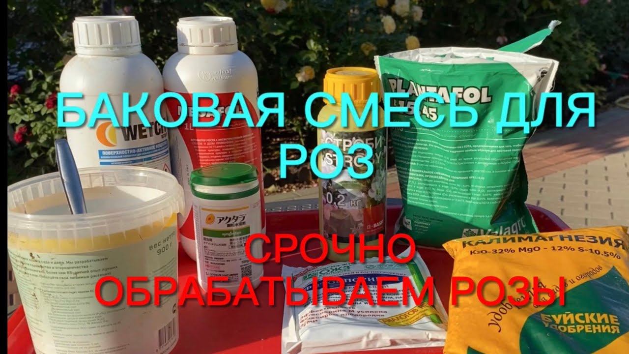 Срочно обрабатываю розы. Баковая смесь 4 в 1 - кормим, лечим, боремся с вредителями….. смотреть онлайн