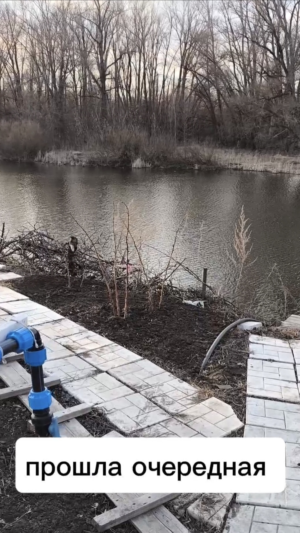 Прошла очередная неделя смотреть онлайн