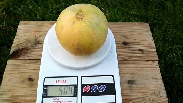 Первый урожай дыни / обзор дыни / часть 3 смотреть онлайн