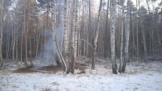 Рядом с пансионатом "Карагайский бор" смотреть онлайн