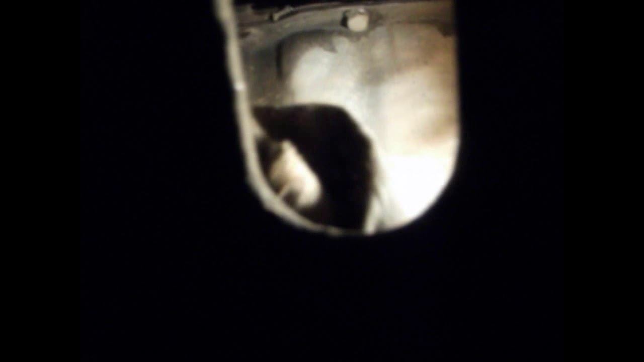 замена масла альбеа +кат№ смотреть онлайн