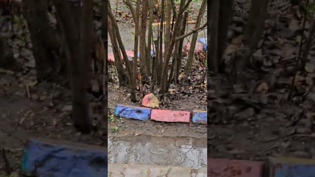 Астрахань/дождь/рыбалка