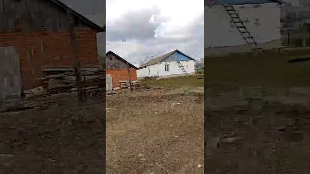 дагонялки кулевча смотреть онлайн