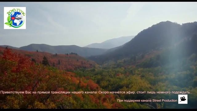трансляция/флорист -дизайнер/Цветы Победы/Киреева Р.Р. смотреть онлайн