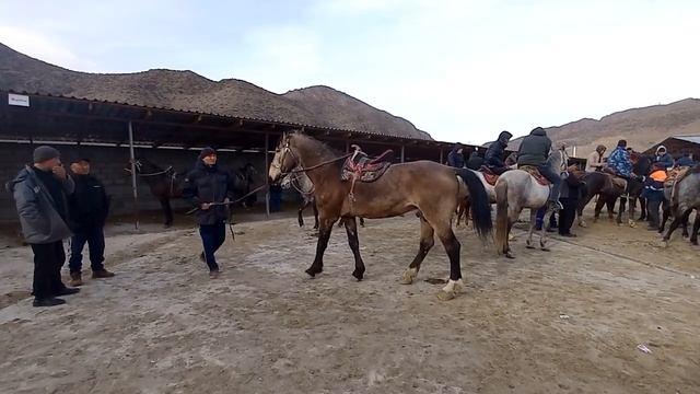 АЛА-БУКА РАЙОНУ ЖЫЛКЫ БАЗАР / СОЛОМО МАЛ БАЗАРЫ / КАНАЛГА КАТТАЛЫНЫЗДАР!!! смотреть онлайн