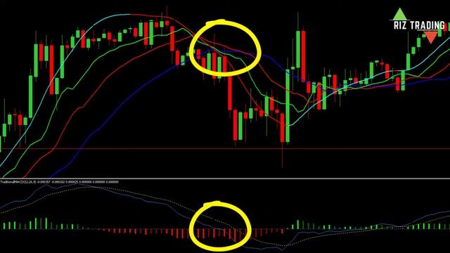 AMAZING William's Alligator Strategy for Daytrading Forex Explained смотреть онлайн