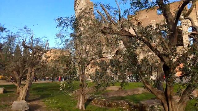 Рим * Колизей *