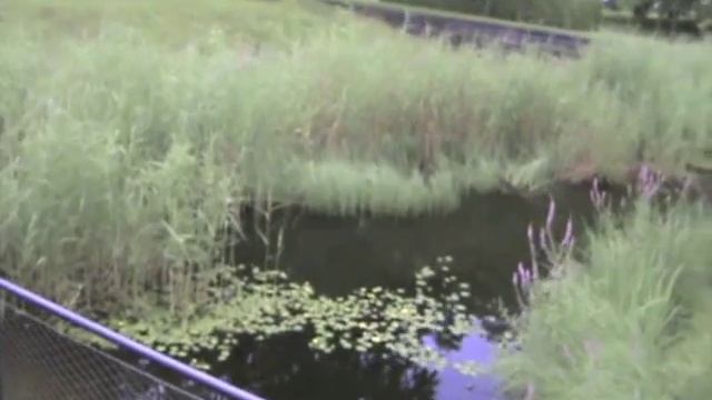 Назад в ГСВГ 2 смотреть онлайн