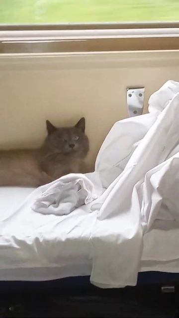 Когда едешь в плацкарте смотреть онлайн