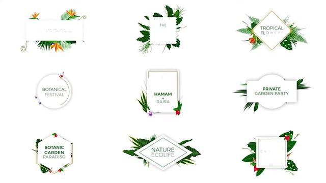 Floral Design Pack | Premiere pro MOGRT File | Free Download | Easy to Use | Premiere Pro Template смотреть онлайн