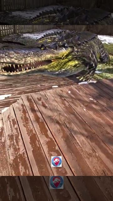 JWALIVE - Purrusaurus came from backdoor - horrible Dinosaur. смотреть онлайн