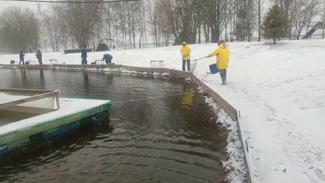 WhatsApp Video 2025-04-06 at 09.21.08 смотреть онлайн