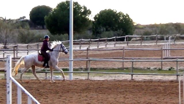 An uncontrolled mare смотреть онлайн