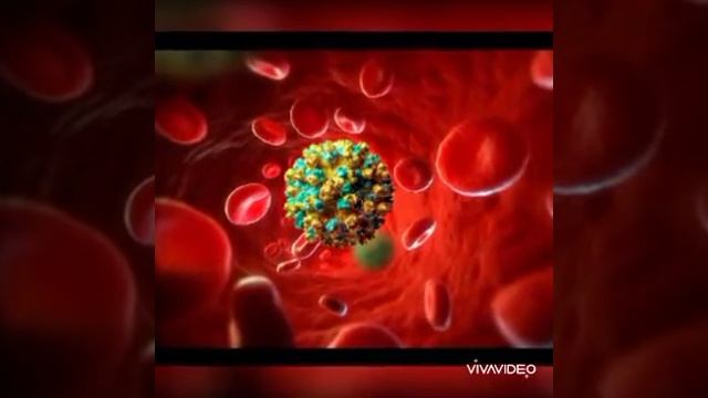 HEPATITIS B n C PACK. 0551848831 смотреть онлайн