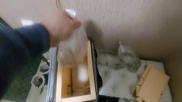 КАК ПЕРЕВОЗИТЬ РЫБОК ЗИМОЙ.