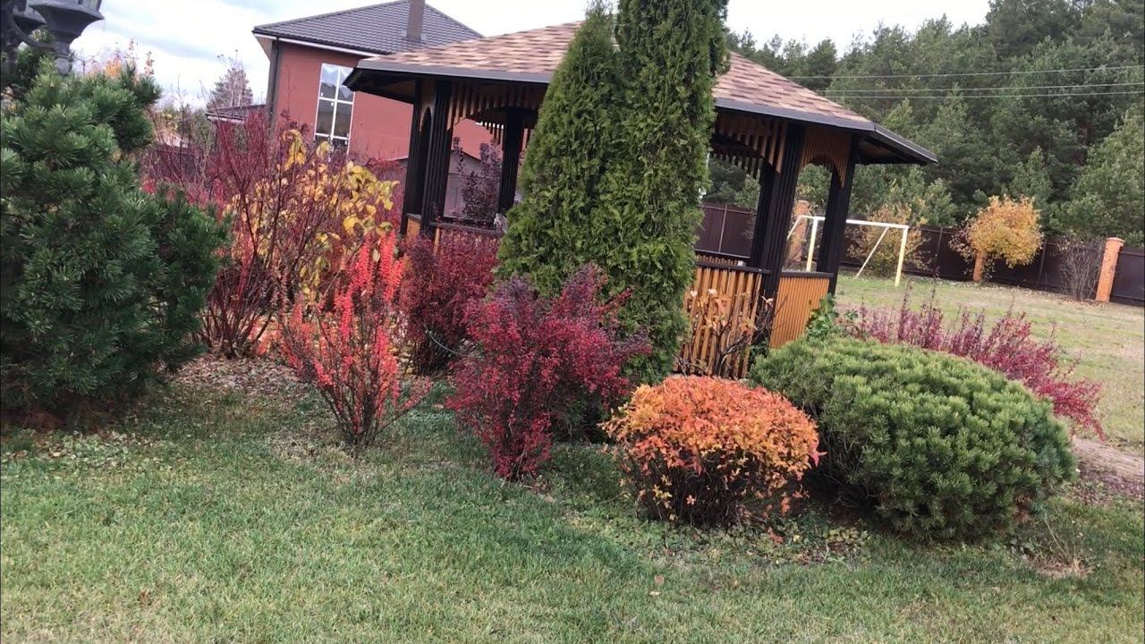 Обрезка гортензии метельчатой и мой декоративный сад смотреть онлайн