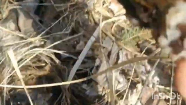 Путешествие Три ручья! смотреть онлайн