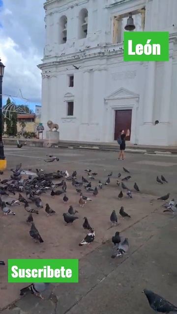 León - Nicaragua. Catedral #nicaragua