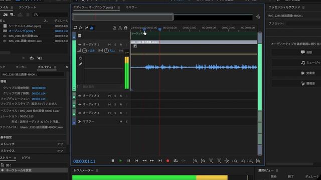 Premiere Pro の音声をAdobe Auditionで補正する / Premiere Pro CC 2018 смотреть онлайн