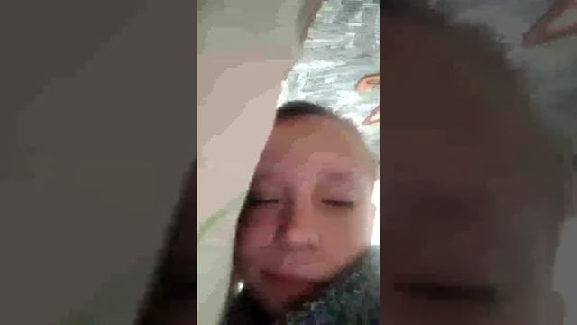 коты и мобаки смотреть онлайн