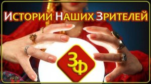 231 Так что же было первично, судьба или слова гадалки ｜ Истории