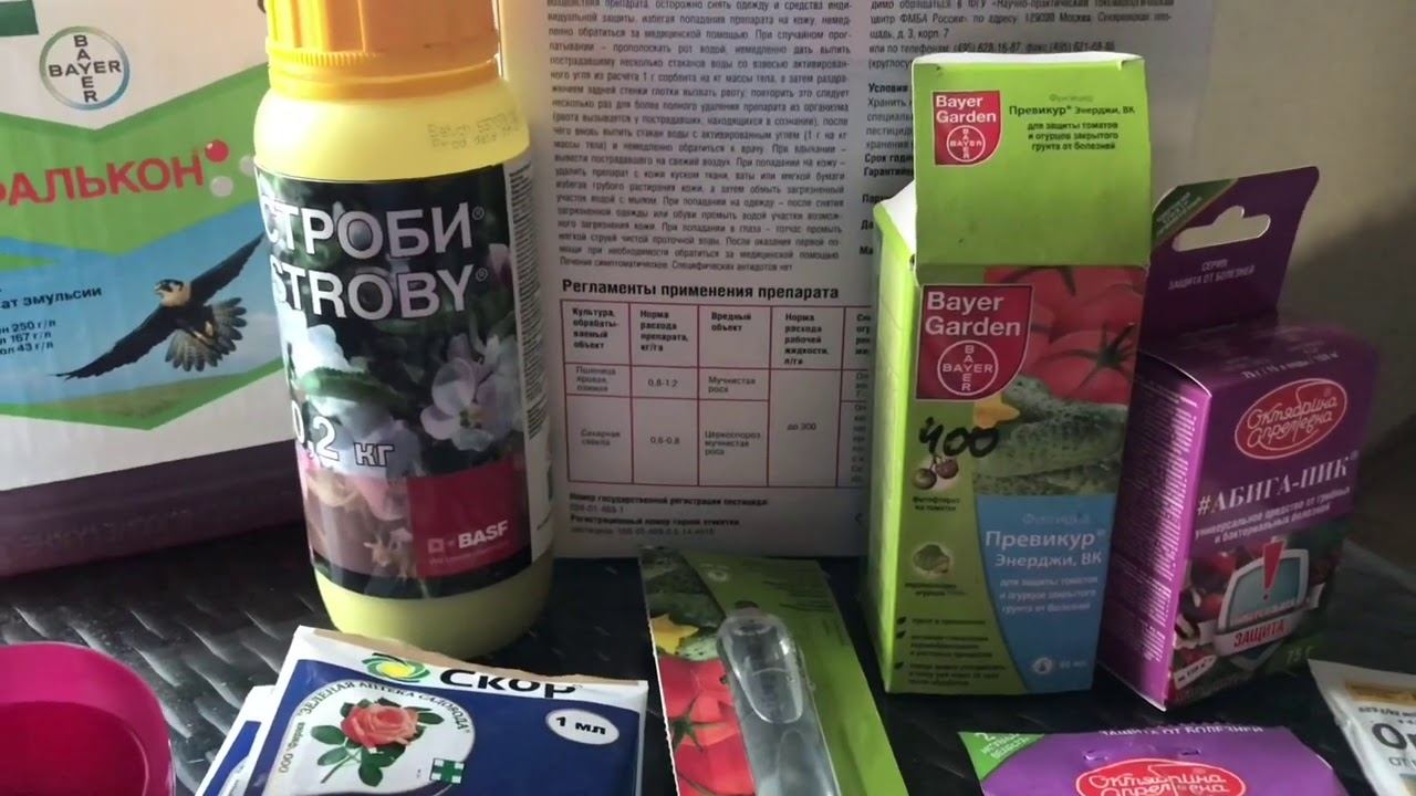 Розы. Чтобы Розы были красивыми.Болезни роз. Препараты и схема профилактики от болезней..... смотреть онлайн