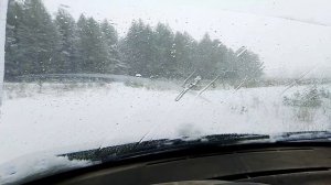 когда переобуваются на летнюю резину замена шин на летнюю когда рассказал слова деда