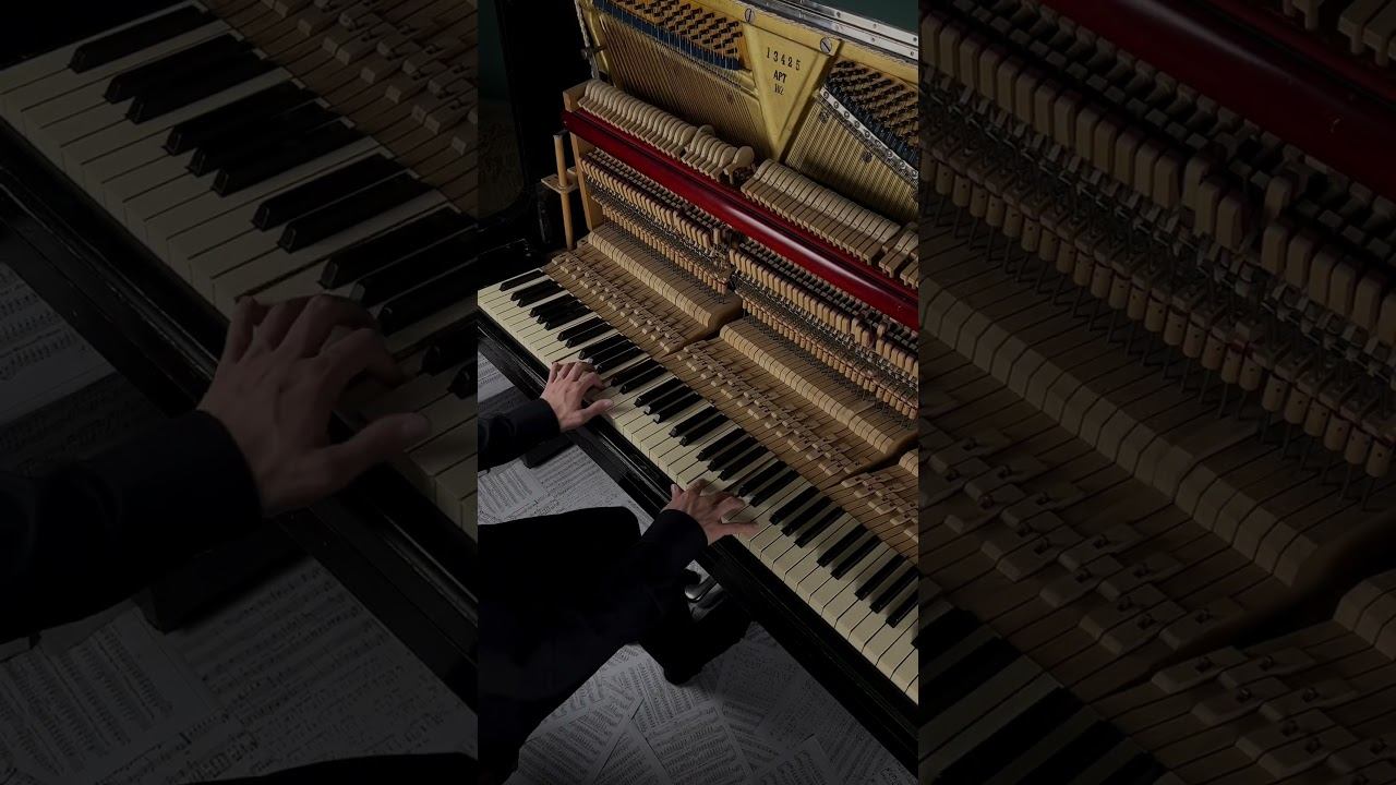 I love you forever where we'll have some fun #aesthetic #calm #piano смотреть онлайн