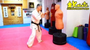 Маваши гери с маскировкой Киокушин Каратэ | Mawashi Geri with Kyokushin Karate Disguise